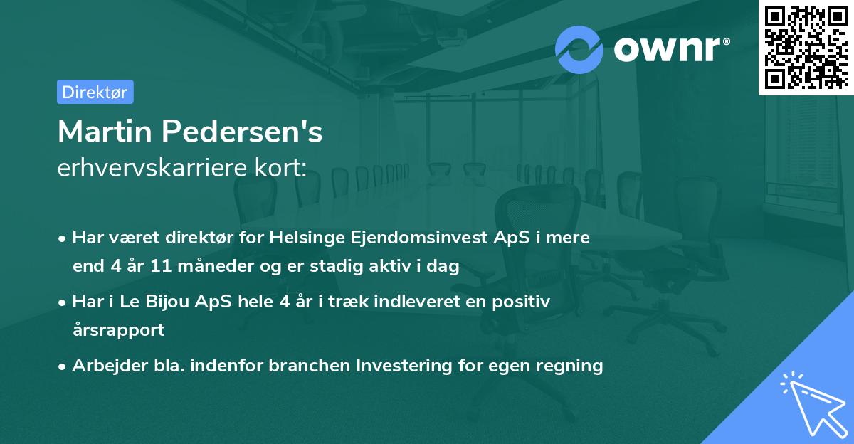 Martin Pedersen's erhvervskarriere kort