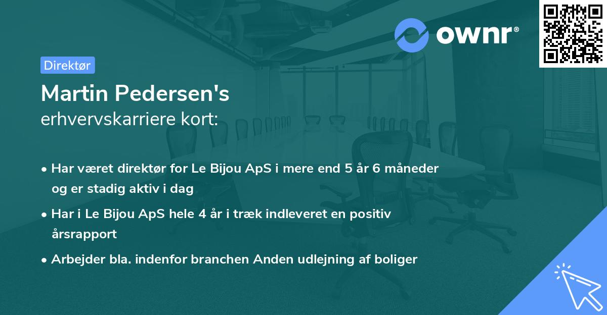 Martin Pedersen's erhvervskarriere kort