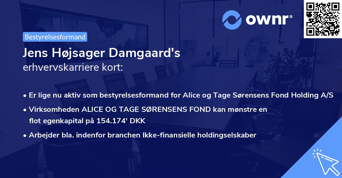 Jens Højsager Damgaard's erhvervskarriere kort