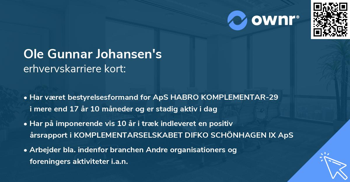Ole Gunnar Johansen's erhvervskarriere kort