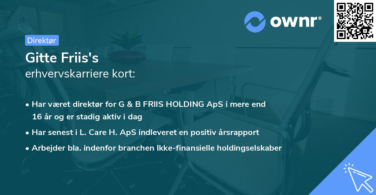 Gitte Friis's erhvervskarriere kort