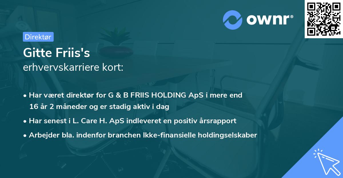 Gitte Friis's erhvervskarriere kort
