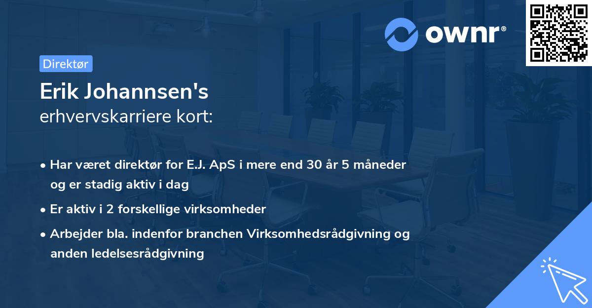 Erik Johannsen's erhvervskarriere kort