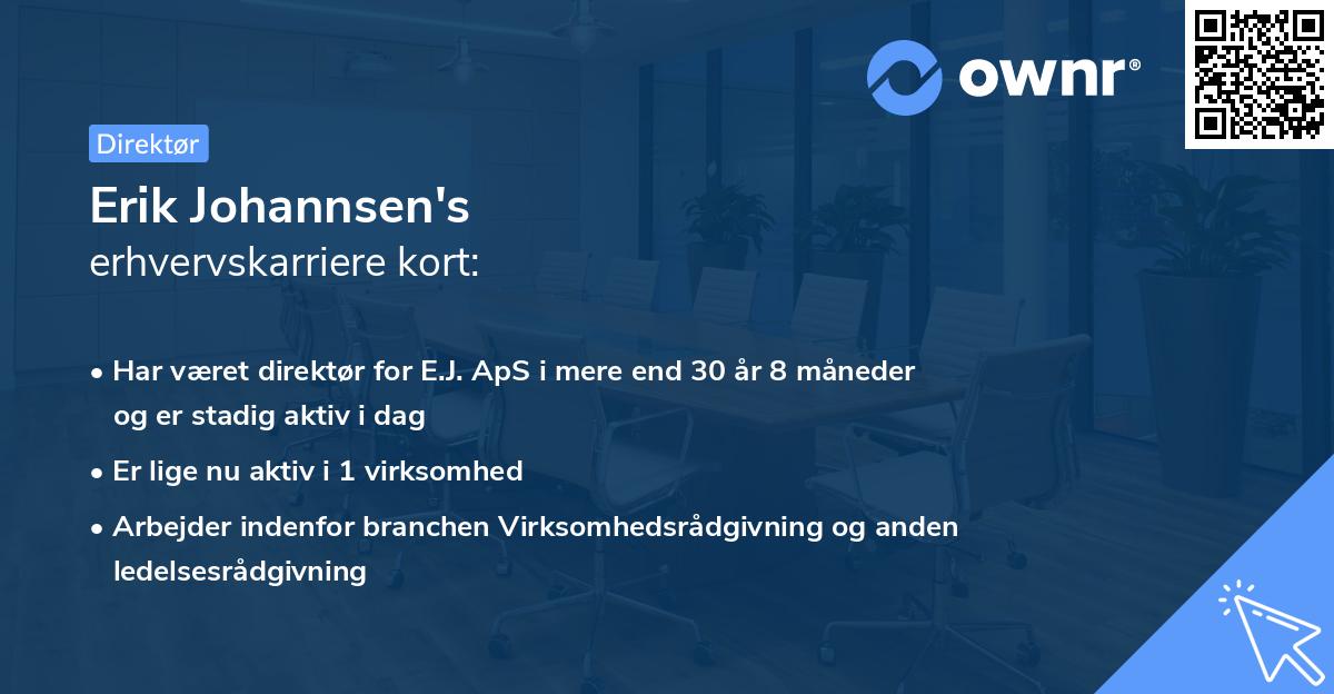 Erik Johannsen's erhvervskarriere kort
