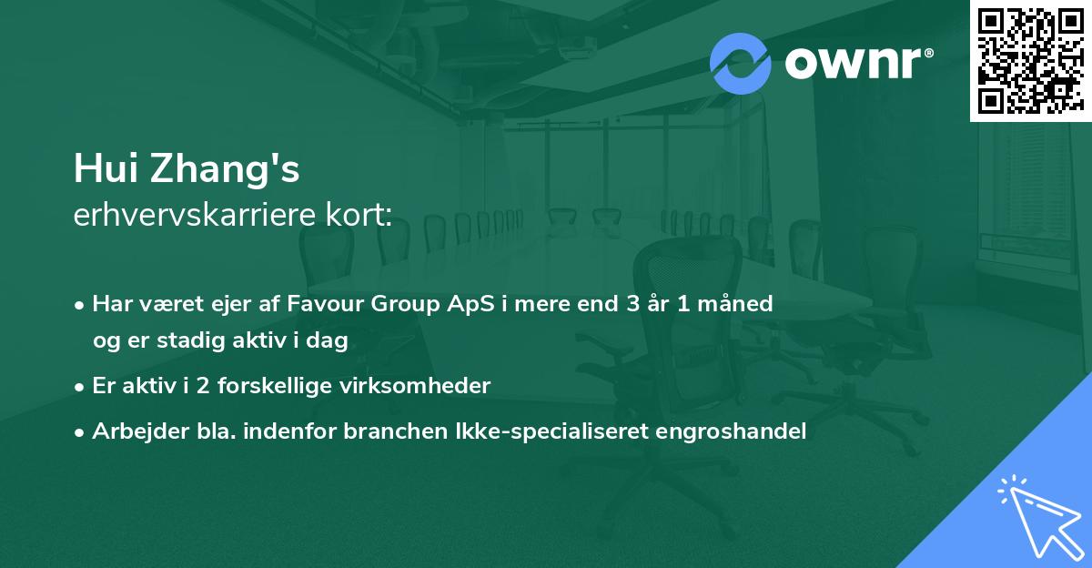Hui Zhang's erhvervskarriere kort