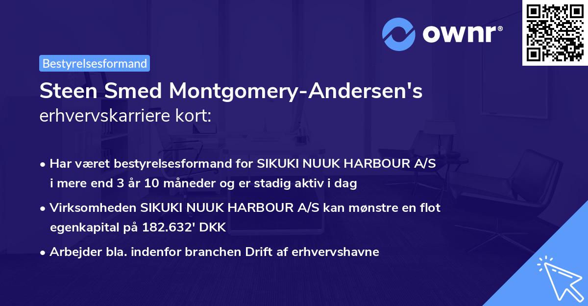 Steen Smed Montgomery-Andersen's erhvervskarriere kort
