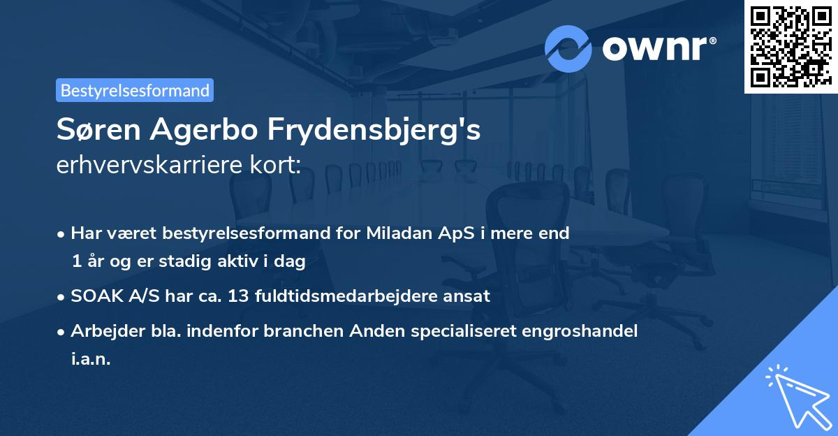 Søren Agerbo Frydensbjerg's erhvervskarriere kort