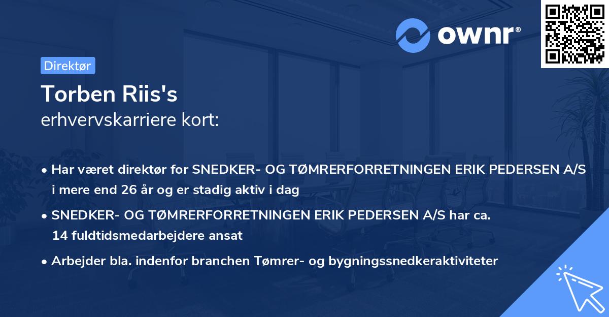 Torben Riis's erhvervskarriere kort