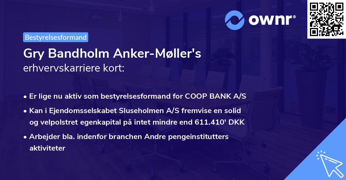 Gry Bandholm Anker-Møller's erhvervskarriere kort