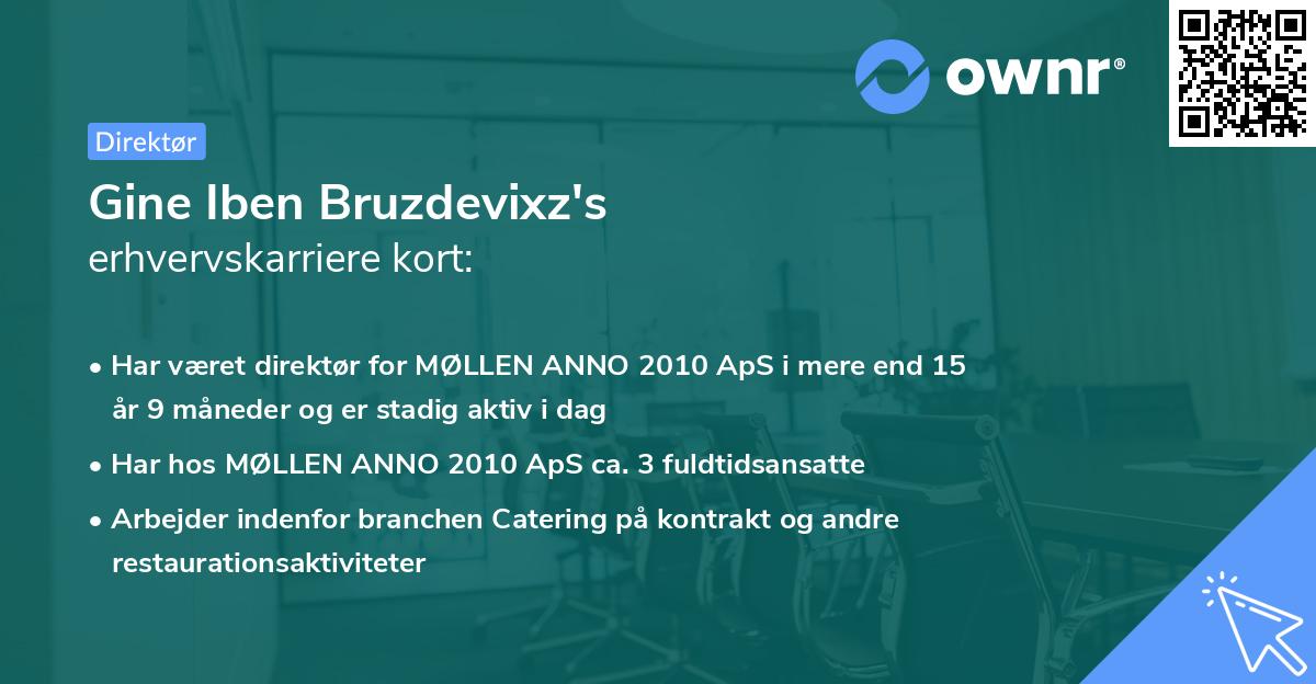 Gine Iben Bruzdevixz's erhvervskarriere kort