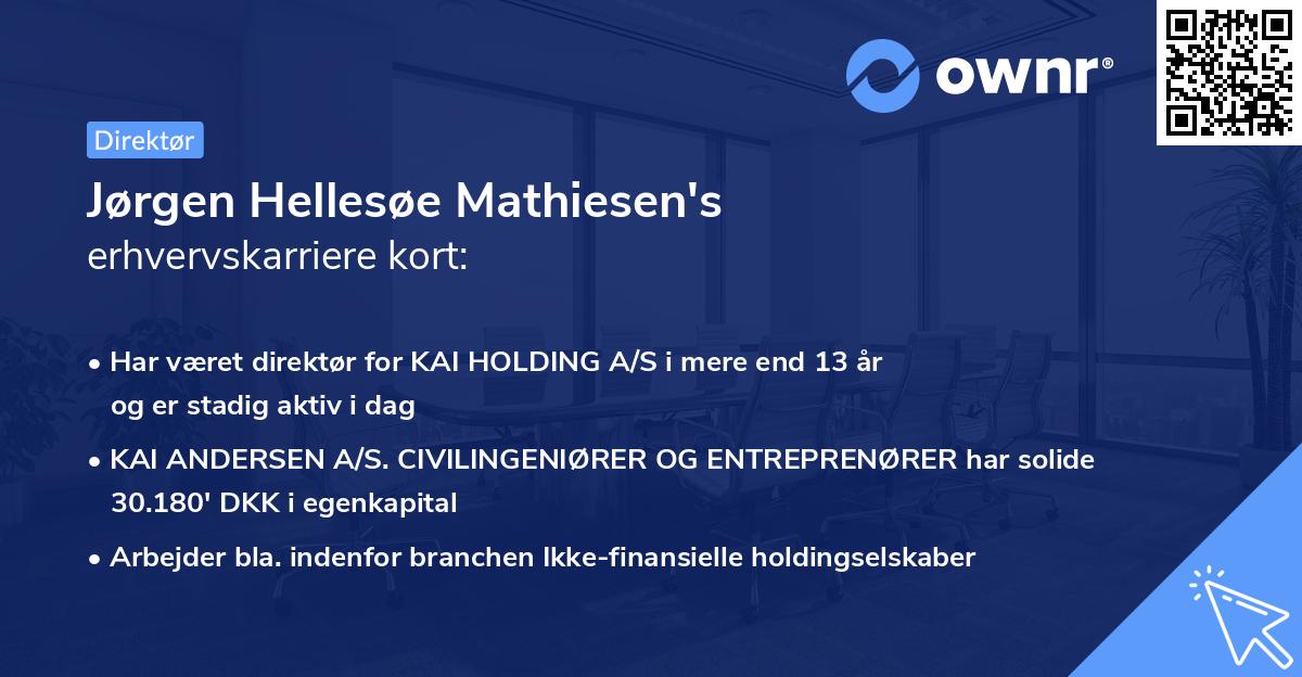 Jørgen Hellesøe Mathiesen's erhvervskarriere kort