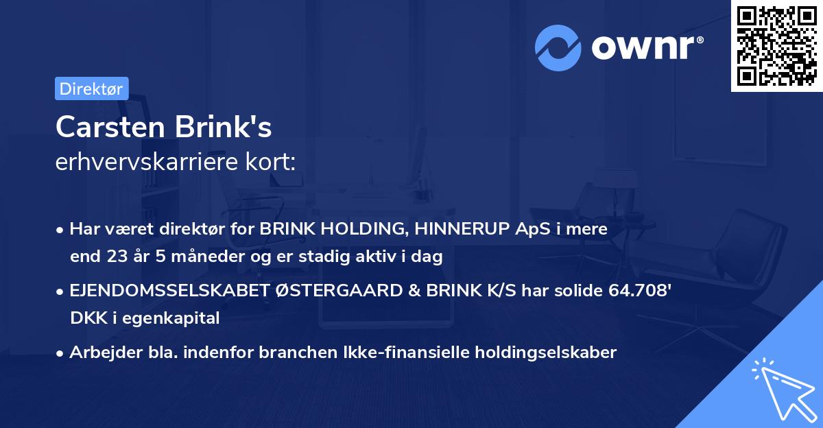 Carsten Brink's erhvervskarriere kort