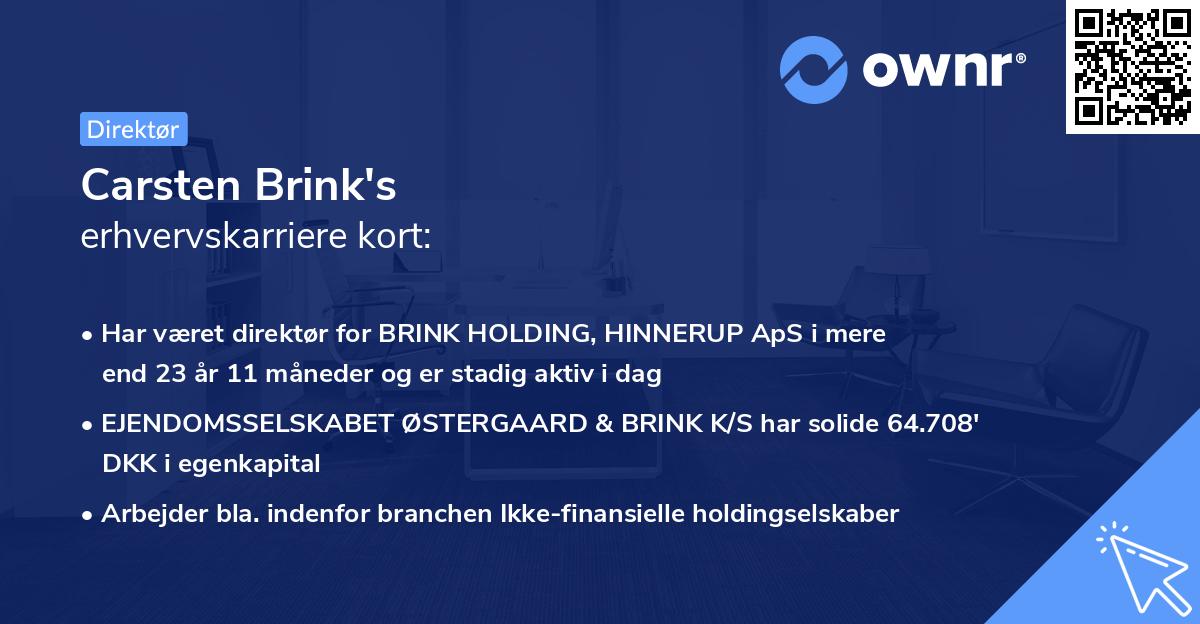 Carsten Brink's erhvervskarriere kort