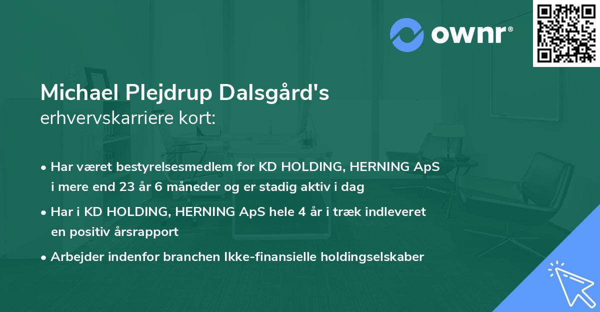 Michael Plejdrup Dalsgård's erhvervskarriere kort