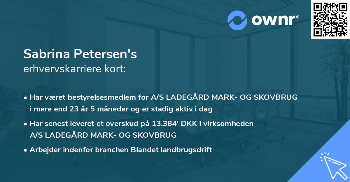 Sabrina Petersen's erhvervskarriere kort
