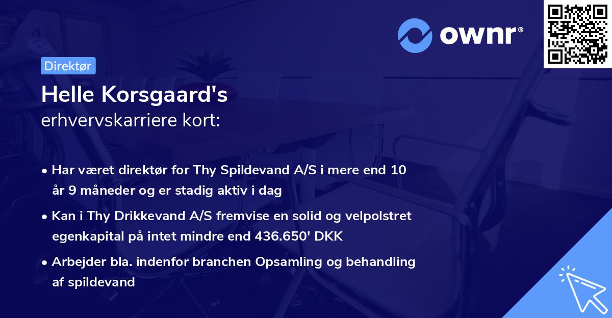 Helle Korsgaard's erhvervskarriere kort