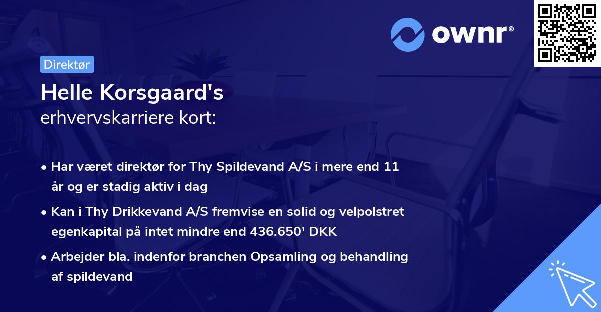 Helle Korsgaard's erhvervskarriere kort