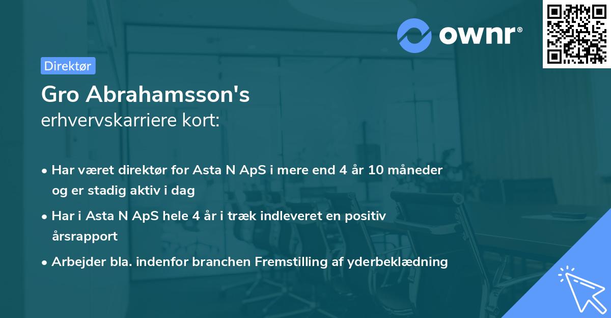 Gro Abrahamsson's erhvervskarriere kort