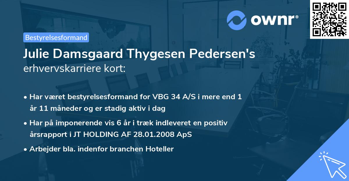 Julie Damsgaard Thygesen Pedersen's erhvervskarriere kort