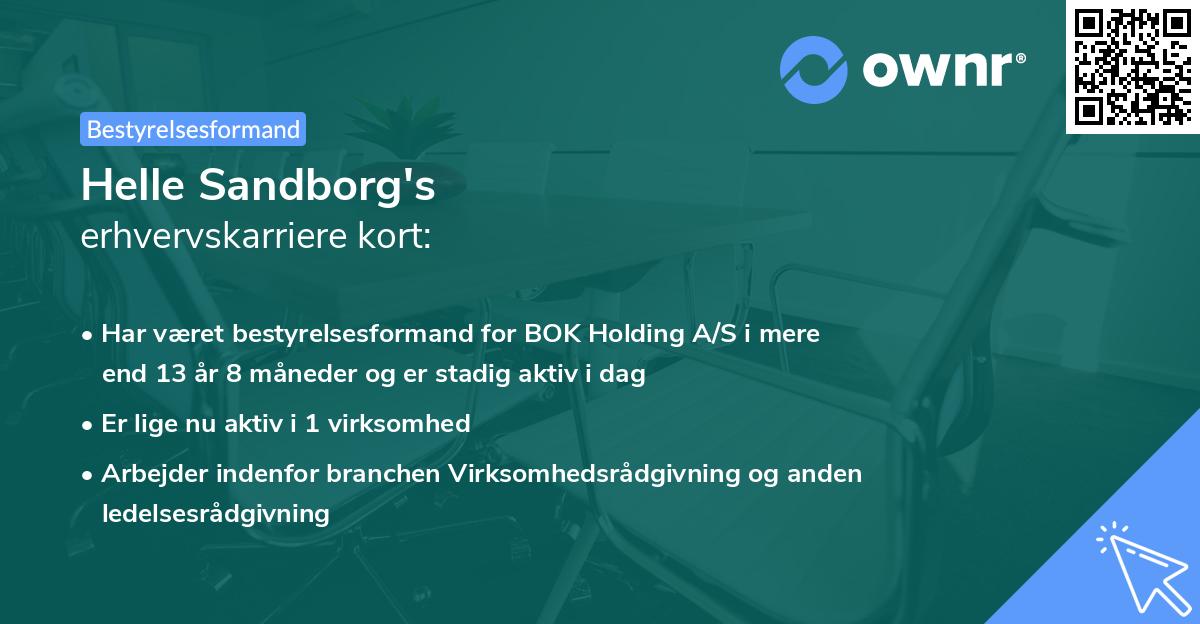Helle Sandborg's erhvervskarriere kort
