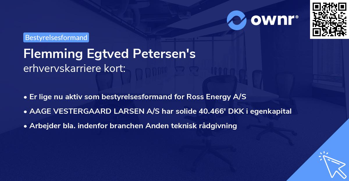 Flemming Egtved Petersen's erhvervskarriere kort