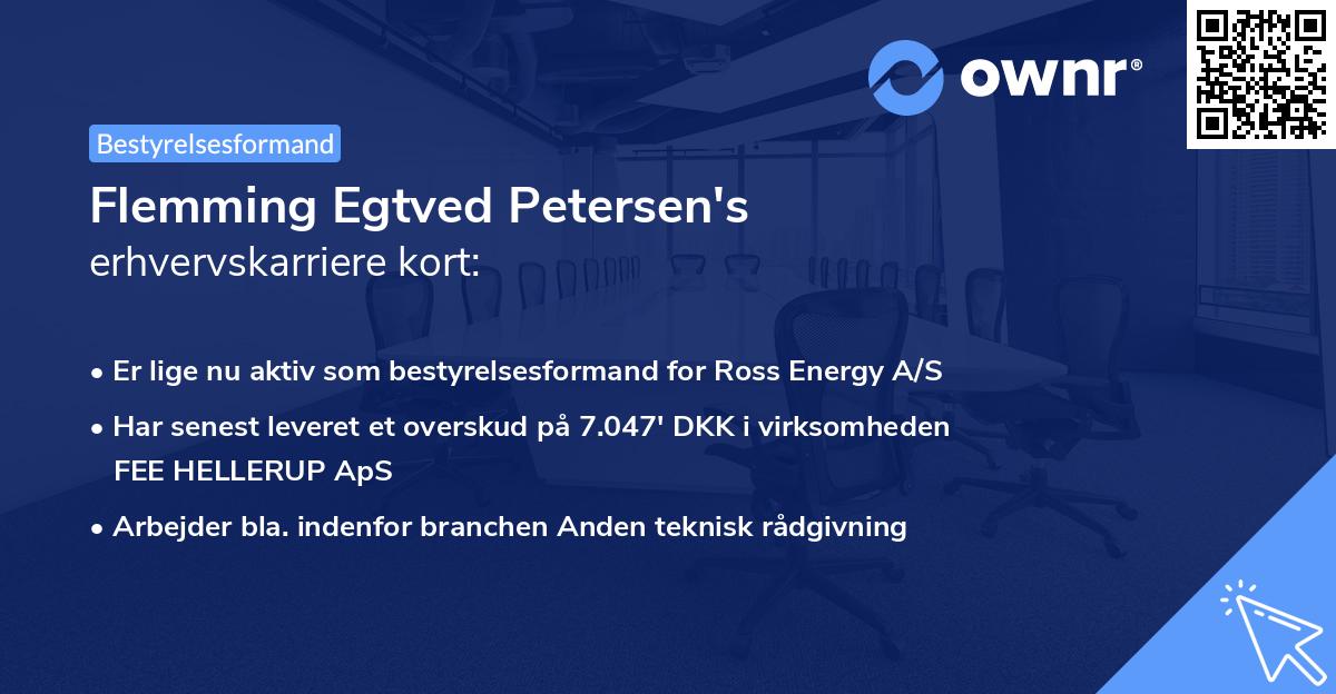 Flemming Egtved Petersen's erhvervskarriere kort