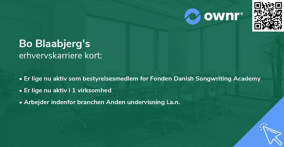 Bo Blaabjerg's erhvervskarriere kort