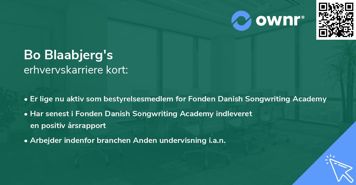 Bo Blaabjerg's erhvervskarriere kort