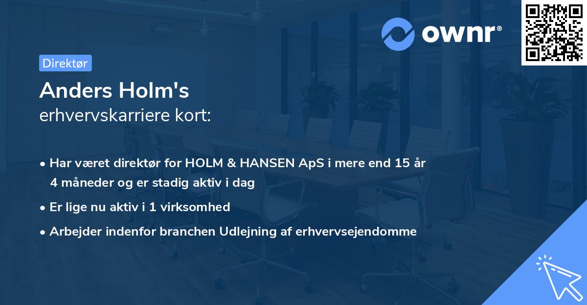 Anders Holm's erhvervskarriere kort