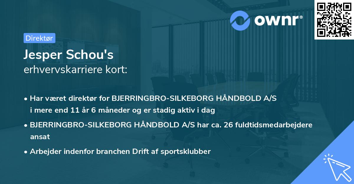 Jesper Schou's erhvervskarriere kort