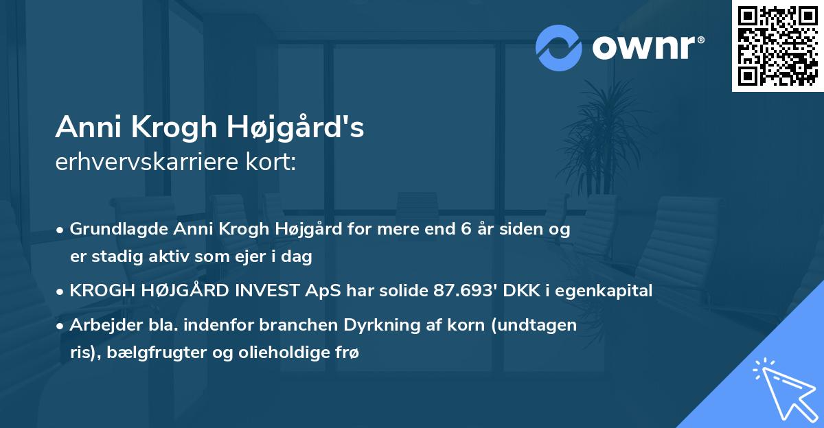 Anni Krogh Højgård's erhvervskarriere kort
