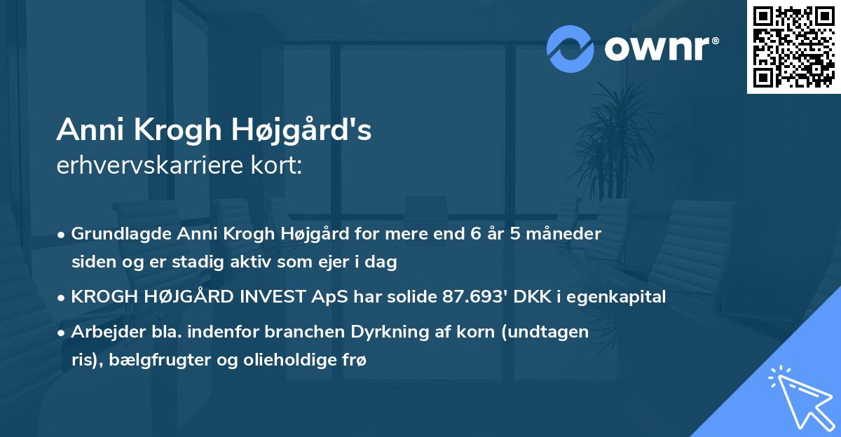 Anni Krogh Højgård's erhvervskarriere kort