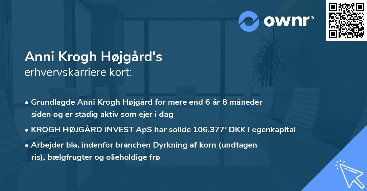 Anni Krogh Højgård's erhvervskarriere kort