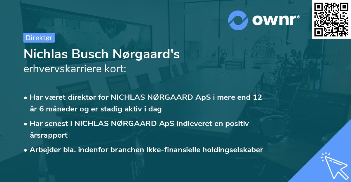Nichlas Busch Nørgaard's erhvervskarriere kort