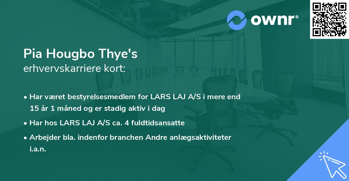 Pia Hougbo Thye's erhvervskarriere kort
