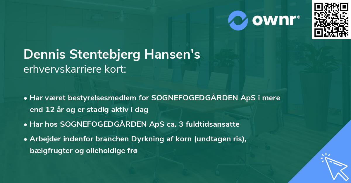 Dennis Stentebjerg Hansen's erhvervskarriere kort
