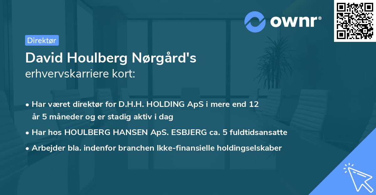 David Houlberg Nørgård's erhvervskarriere kort