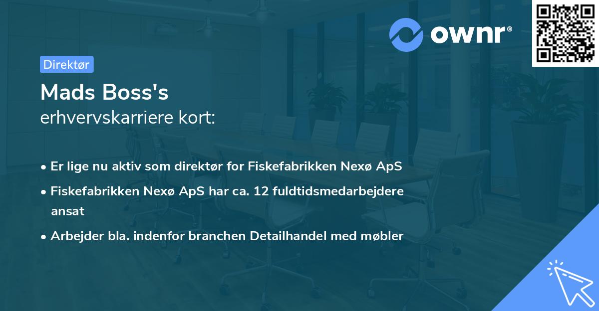 Mads Boss's erhvervskarriere kort