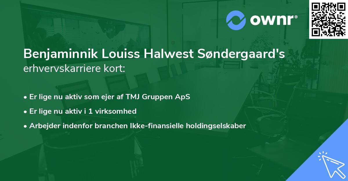 Benjaminnik Louiss Halwest Søndergaard's erhvervskarriere kort