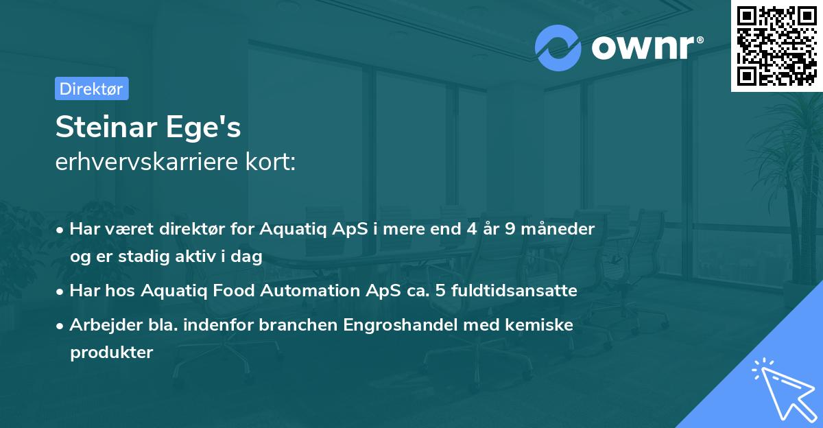 Steinar Ege's erhvervskarriere kort