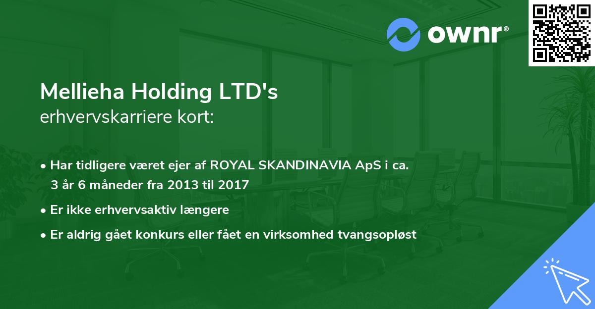 Mellieha Holding LTD's erhvervskarriere kort