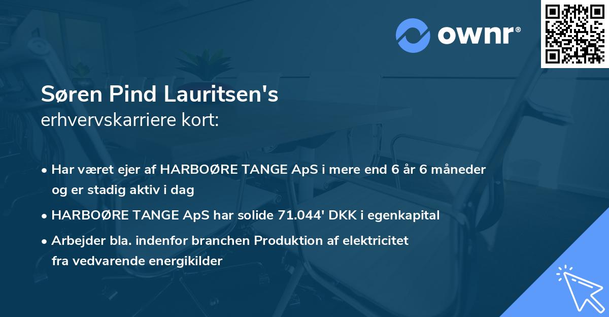 Søren Pind Lauritsen's erhvervskarriere kort