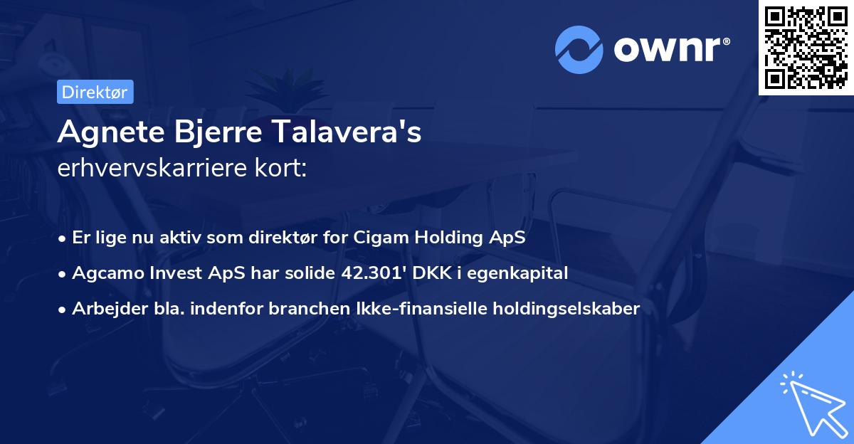 Agnete Bjerre Talavera's erhvervskarriere kort