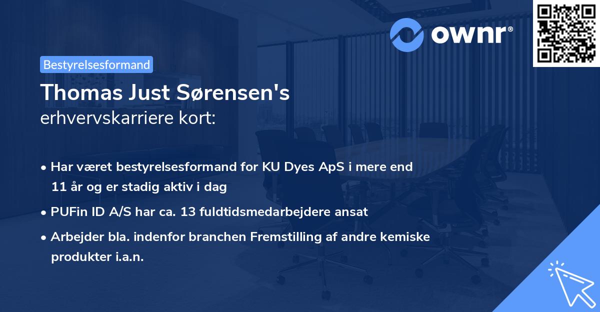 Thomas Just Sørensen's erhvervskarriere kort