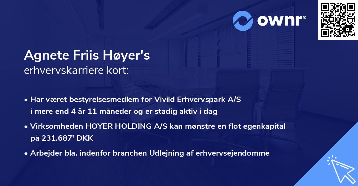 Agnete Friis Høyer's erhvervskarriere kort