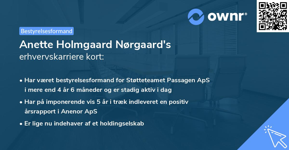Anette Holmgaard Nørgaard's erhvervskarriere kort