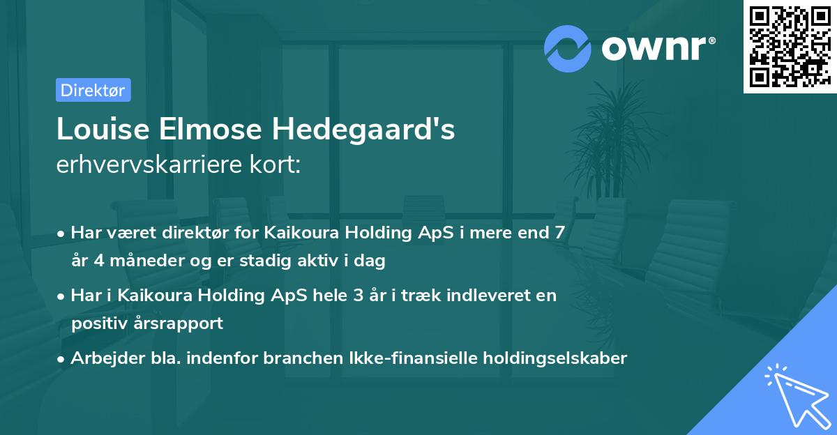 Louise Elmose Hedegaard's erhvervskarriere kort