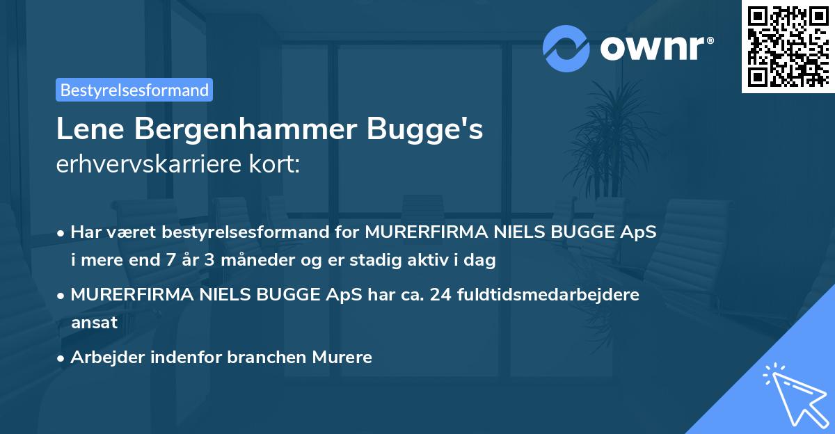Lene Bergenhammer Bugge's erhvervskarriere kort