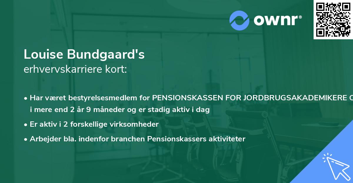 Louise Bundgaard's erhvervskarriere kort