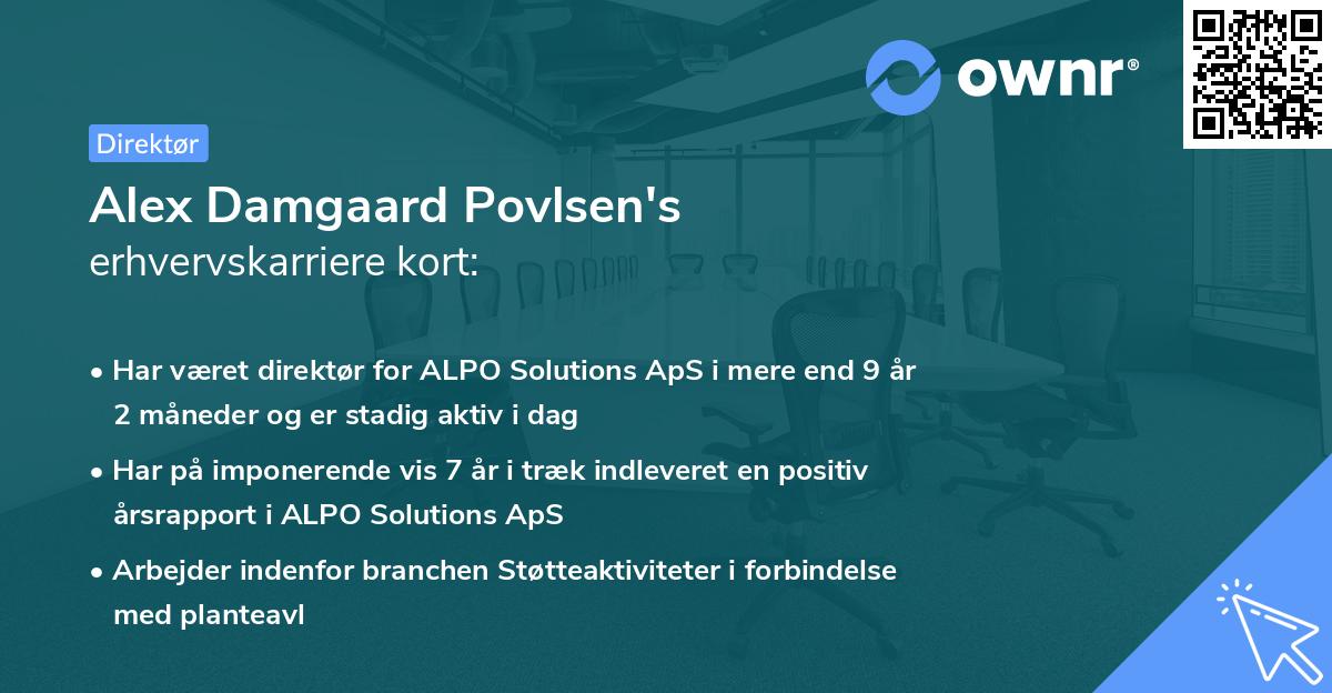 Alex Damgaard Povlsen's erhvervskarriere kort